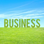 Starting a Green Business